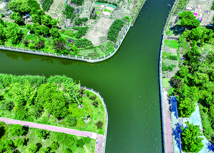 南通白廟龍河整治